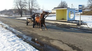 Häst och vagn är fortfarande ett vanligt transportmedel på Ukrainas landsbygd